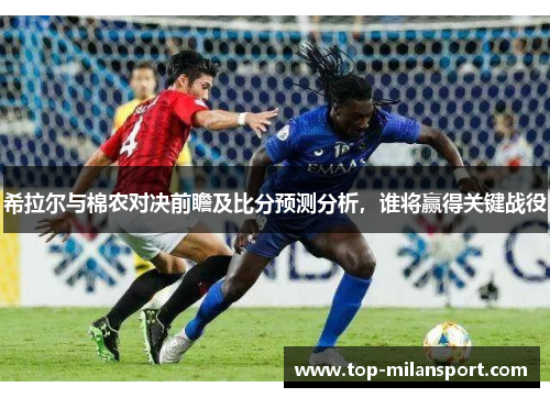 希拉尔与棉农对决前瞻及比分预测分析,谁将赢得关键战役